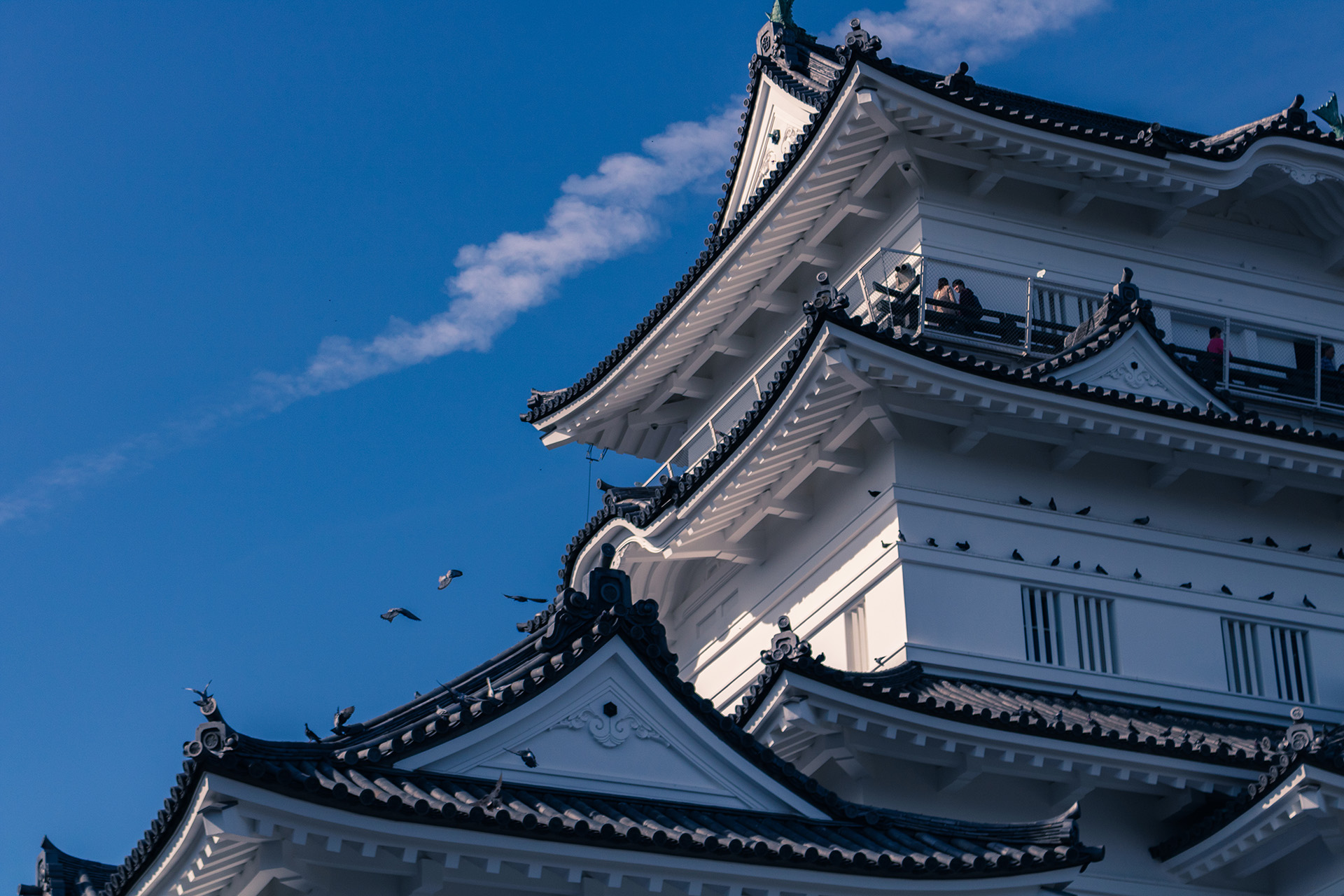 Black roof of a white Japanese castle with the blue sky behind it.